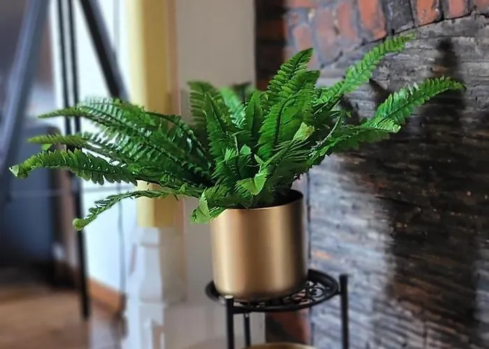 En Centre Appartement Bernay (Eure)